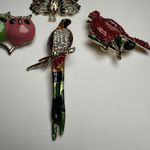 Rhinestone Parrot, Cardinal, Peacock, Owls Brooch Pin Lot Of 4 Gold Tone Photo 1
