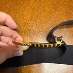 Vintage Gold Pearl Black Stretch Belt Retro Decorative Fashion Classic Boho Photo 2