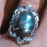 Malagasy Labradorite 18K Yellow Gold Plated and Platinum Bond Ring (Size 7) Photo 0