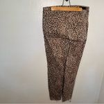 Garage High Rise Jeans Animal Print Photo 5