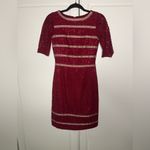 Antonio Melani  Ella Lace Dress Photo 2