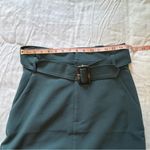 Banana Republic  Elegant Green Skirt with Belt    size 6 tall Photo 5