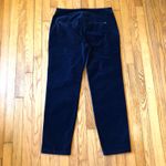 Sundance  NWOT Navy Blue Velvet Trouser Pants Size 10 Photo 6