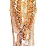 Lysse  Animal Print Sleeveless Long button down shirt Sz M Photo 11