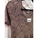 Altar'd State NEW Lace A Line Dress Mauve Taupe Short Sleeve Scoop Neck L Photo 2