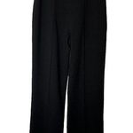 AQ/AQ Laurent High Waisted Wide Leg Trouser Pants Women’s 10 Black Pin Tuck Photo 1