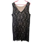 Calvin Klein  Black Lace V-Neck Sleeveless Dress Size 22W Wedding Guest Rouched Photo 1