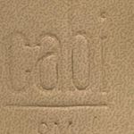 CAbi Kiki Leopard Print Adjustable Ankle Straps Closed Toe Block Heels Size 9 Photo 2