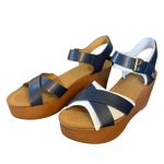 Tommy Hilfiger  Blue Wilo Wedge Platform Heels Size 9.5 Photo 6