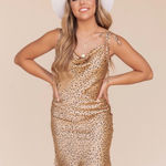 In Loom ✨ Elenor Satin Leopard Dress✨ Photo 0