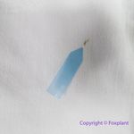 Madewell NEW Stovepipe Jeans in Pure White, 24 Photo 8