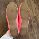 Birdies  The Starling Flats in Lipstick Raffia Size 10 Photo 9