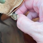 Patricia Nash  Vintage Patch leather saddle bag Nepali Coast Hawaii suede inside Photo 15