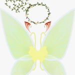 Fairy wings, ears, flower crown costume accesories Photo 0
