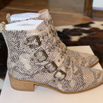 Beast Fashion  - Studded Snakeskin Ankle Boots Photo 0