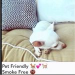 Cupshe  Pink Paisley Boho Mini Dress Photo 11