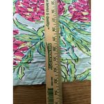 Lilly Pulitzer Cassie Mint Spike the Punch 3/4 Sleeve Sheath Mini Dress XS READ Photo 3