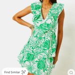 Lilly Pulitzer Ritamarie V-Neck Cotton Ruffle Dress Spearmint Kiss My Tulips 12 Photo 0