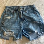 American Eagle Outfitters Shorts Photo 0