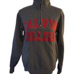 Champion Eco Fleece Pullover "Calvin College" 1/4 Zip Women’s Small Gray/Red Photo 0