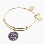 ALEX AND ANI “So Loved” Harry Potter & the Deathly Hallows Bangle Bracelet Photo 0