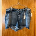 Good American  Bombshell Short Denim Blue Jean Shorts Shadow Pockets Plus Size 24 Photo 13