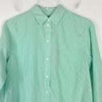 Everlane NWT  The Silky Cotton Relaxed Shirt Striped Green Size 4 NEW Photo 2