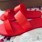 Joie Jelly Sandals Photo 4