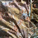 Zimmermann NWOT  concert Elegant Paisley Print Dress Photo 6