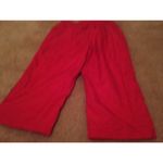 Danskin Now Women's Capri Wind Lined Pants Pockets Nylon Size XL 16 Photo 2