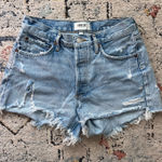 AGOLDE  Denim Shorts Photo 0