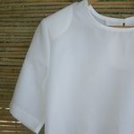 Vicki Waynes L White Plain Short Sleeve Top Size L Photo 1