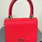 ALDO  Red Mini Bag with Gold Hardware / Crossbody strap not included Photo 0