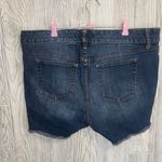 Torrid Dark Blue Denim Jeans Photo 4