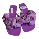 Jeffrey Campbell Fleuris Jelly Flip Flop Purple Floral Thong Sandals Size 7 New Photo 1