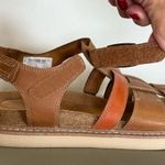 Clarks New! Artisan ‘Arwell Sun’ Combo Leather Sandals Women’s Size 9.5 Medium Photo 5