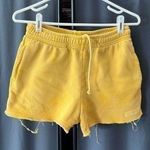 Alphalete  sweatshorts Photo 0