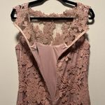 Tadashi Shoji  Floral Lace Illusion Sequin Knee Length Dress, Blush/Pink, Size 6 Photo 9