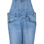 Silver Jeans  Women’s Sz Large Baggy Overalls Denim 28” Length Photo 0