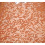 G3 For Her Ladies Texas Longhorns 83 Burn Out Tee Shirt Top Size S Long Sleeve Orange Photo 3