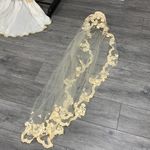 Vintage Lace Wedding Dress and Veil Photo 3
