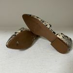 Steve Madden  Black and Cream Snakeskin Flats like new !! Photo 3