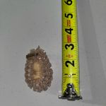 None Vintage Beaded Lace Easter Bunny Brooch Photo 1