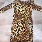 Leopard Print Long Sleeve Dress Brown Photo 5