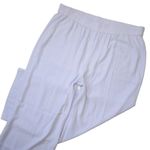 Eileen Fisher NWT Full Length Wide Leg in Wisteria Silk Georgette Pants XL Photo 3