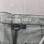 American Eagle Outfitters AE Olive Green Cargo Pants Size 14 Stretch Normcore Photo 3