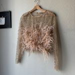 RÊVE RICHE Jasmina Feather Embellished Dusty Rose Sheer Long Sleeve Top Size 42 Pink Photo 2