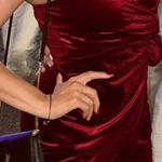 Windsor Rosette Velvet Mini Dress  Photo 1