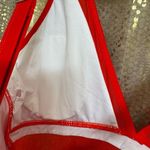 Lipstick Red Bright Cherry Mesh Plunge One Piece Swimsuit Medium Photo 5