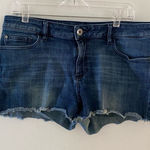 DL1961  Lola raw hem denim shorts size 30 Photo 0
